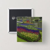 Tulips, Traubentrester und Hülsenfrüchte, Button (Vorne & Hinten)