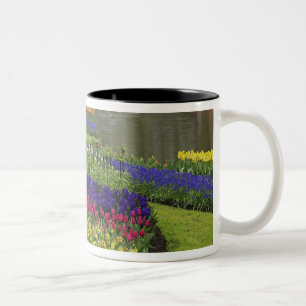 Tulips, Traubentrester und Hülsenfrüchte, Zweifarbige Tasse