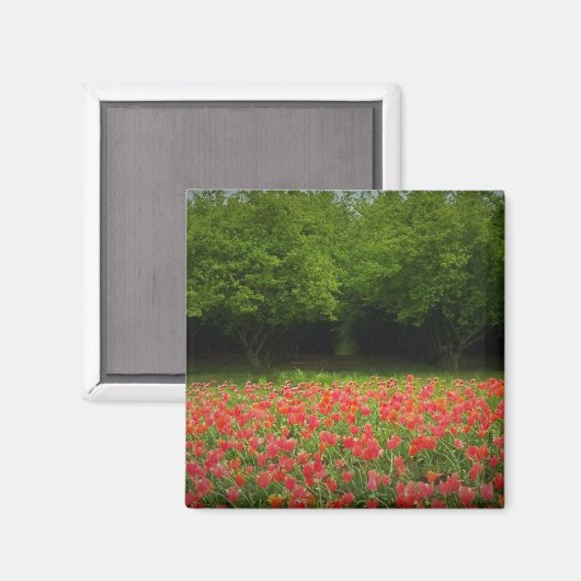 Tulips & Trees Magnet (Vorderseite/Rückseite)