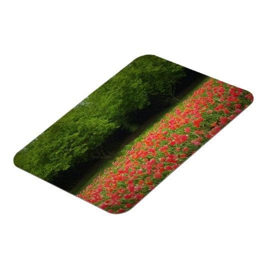 Tulips & Trees Magnet (Linke Seite)