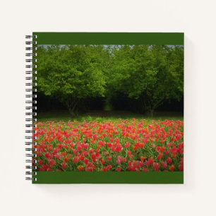 Tulips & Trees Notizblock
