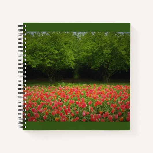 Tulips & Trees Notizblock (Vorderseite)