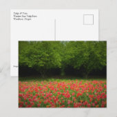 Tulips & Trees Postkarte (Vorne/Hinten)