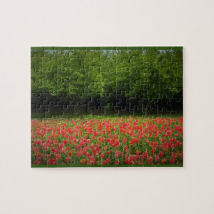 Tulips & Trees Puzzle
