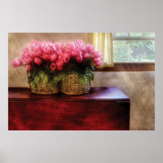 Tulips - Tulips durch ein Fenster Poster (Vorne)