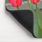Tulips und das Kitten Mousepad (Ecke)