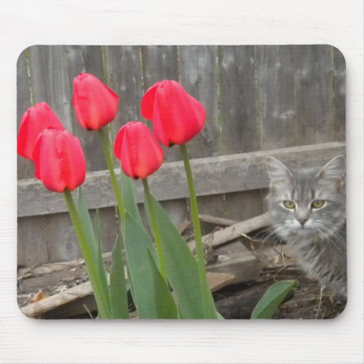 Tulips und das Kitten Mousepad (Vorne)