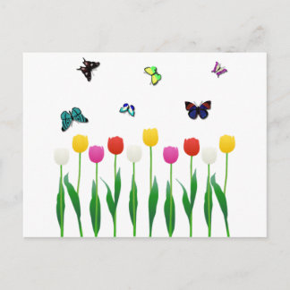 Tulips und Schmetterlinge Postkarte
