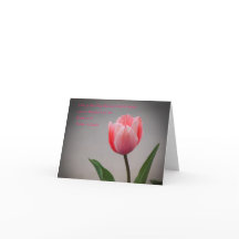Tulips und Schrift