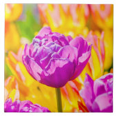 Tulips verzaubern 12 fliese (Vorderseite)