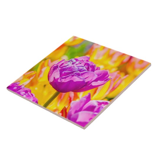 Tulips verzaubern 12 fliese (Seite)