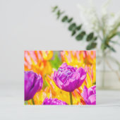 Tulips verzaubern 12 postkarte (Stehend Vorderseite)