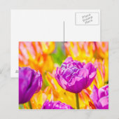 Tulips verzaubern 12 postkarte (Vorne/Hinten)