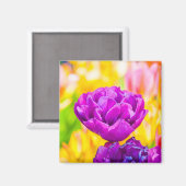 Tulips verzaubern 15 magnet (Vorderseite/Rückseite)
