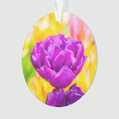 Tulips verzaubern 15 ornament (Vorderseite)