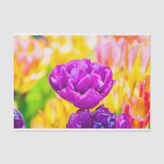 Tulips verzaubern 15 seidenpapier (Vorderseite)
