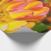 Tulips verzaubern 16 geschenkpapier (Ecke)