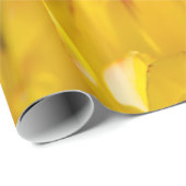 Tulips verzaubern 16 geschenkpapier (Rolleneckpunkt)