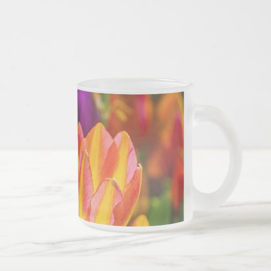 Tulips verzaubern 16 mattglastasse (Rechts)