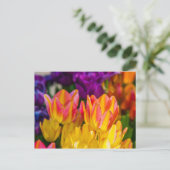 Tulips verzaubern 16 postkarte (Stehend Vorderseite)