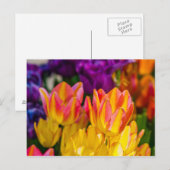 Tulips verzaubern 16 postkarte (Vorne/Hinten)