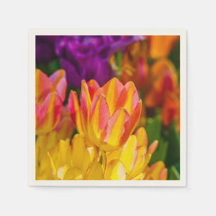 Tulips verzaubern 16 serviette