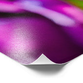 Tulips verzaubern 17 fotodruck (Ecke)