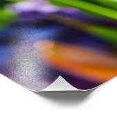 Tulips verzaubern 17 fotodruck (Ecke)