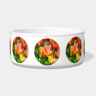 Tulips verzaubern 17 napf