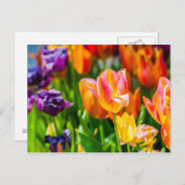 Tulips verzaubern 17 postkarte (Vorne/Hinten)