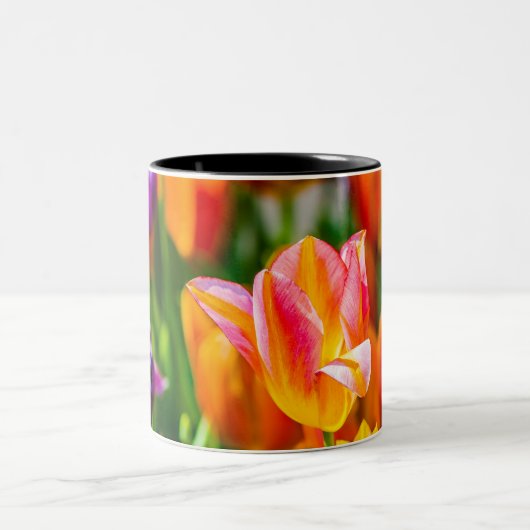 Tulips verzaubern 17 zweifarbige tasse (Mittel)