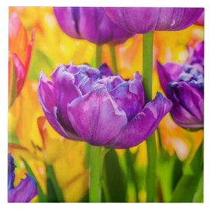 Tulips verzaubern Deep Pink Fliese