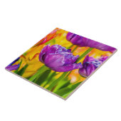 Tulips verzaubern Deep Pink Fliese (Seite)