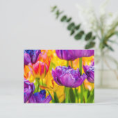 Tulips verzaubern Deep Pink Postkarte (Stehend Vorderseite)