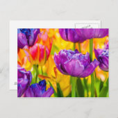 Tulips verzaubern Deep Pink Postkarte (Vorne/Hinten)