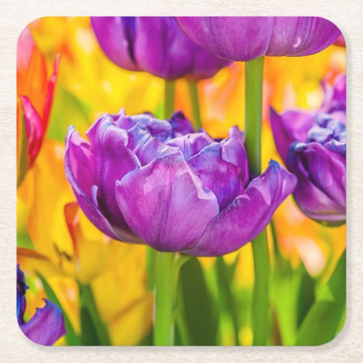 Tulips verzaubern Deep Pink Rechteckiger Pappuntersetzer (Vorderseite)