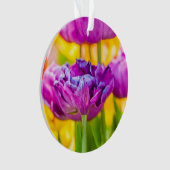 Tulips verzaubern Dunkelrosa Ornament (Vorderseite)