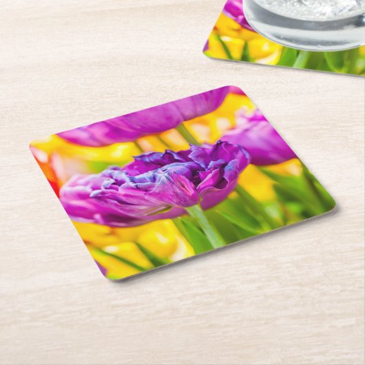 Tulips verzaubern Dunkelrosa Rechteckiger Pappuntersetzer (angewinkelt)