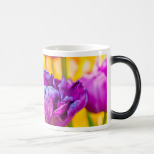 Tulips verzaubern Dunkelrosa Verwandlungstasse