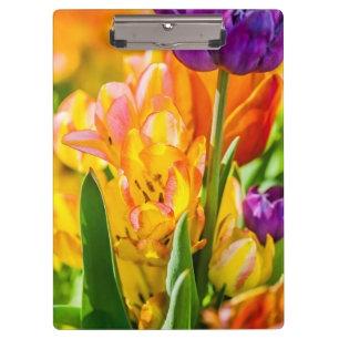 Tulips Verzauberung 01 Klemmbrett