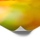 Tulips Verzauberung 01 Poster (Ecke)