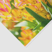 Tulips Verzauberung 01 Seidenpapier (Ausschnitt)