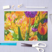 Tulips Verzauberung 01 Seidenpapier (Handwerk)