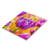 Tulips Verzauberung 06 Fliese (Seite)