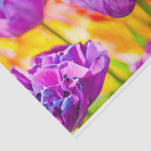 Tulips Verzauberung 06 Seidenpapier (Ausschnitt)