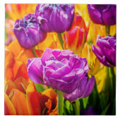 Tulips Verzauberung 12a Fliese (Vorderseite)
