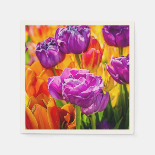 Tulips Verzauberung 12a Serviette (Vorderseite)
