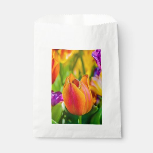 Tulips-Verzauberung Geschenktütchen (Vorderseite)