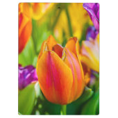 Tulips-Verzauberung Klemmbrett (Rückseite)