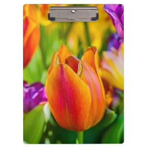 Tulips-Verzauberung Klemmbrett